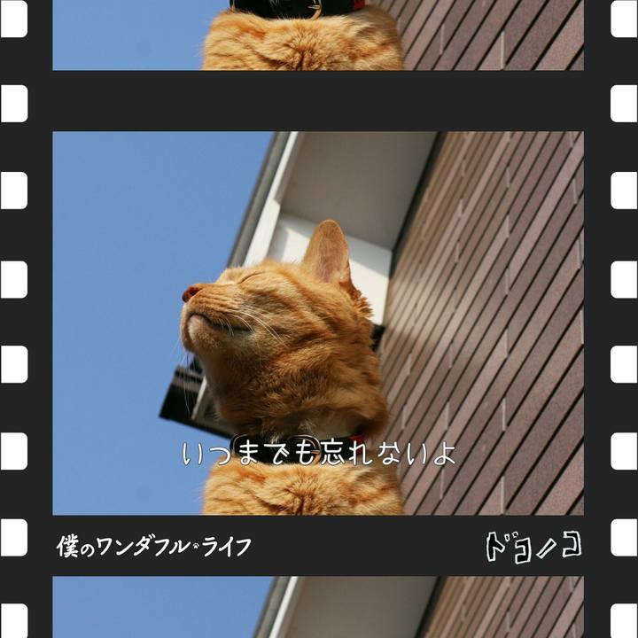 267db581 9543 4049 8f28 3ab1cad3d3f9