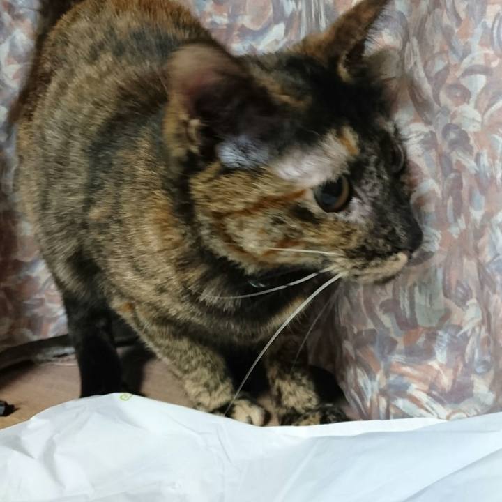 267e3b1b 5432 42de ba0d 044f791c8cf3