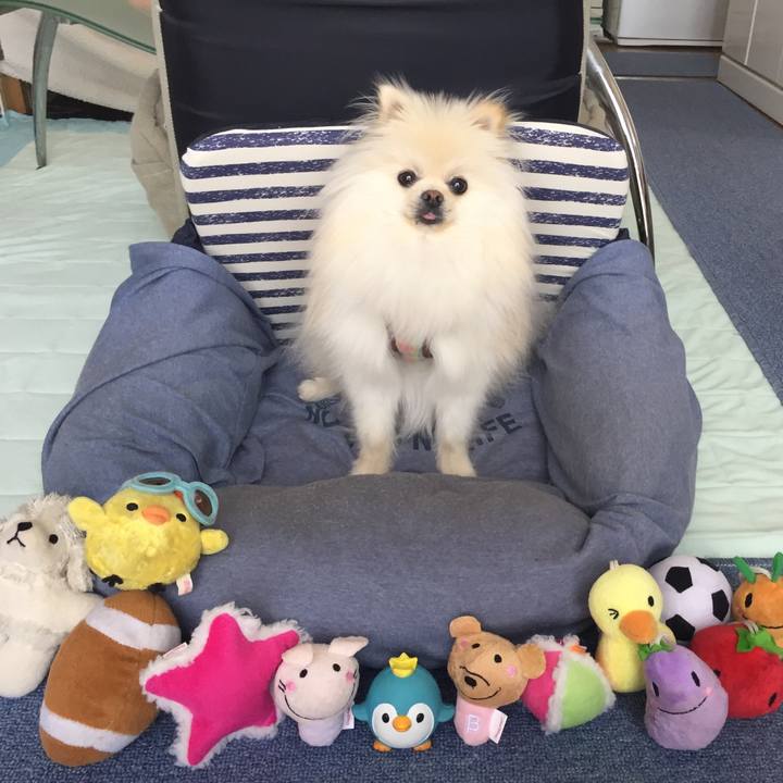 267ef3e6 d75b 4326 a7a6 7a18ff964ee0