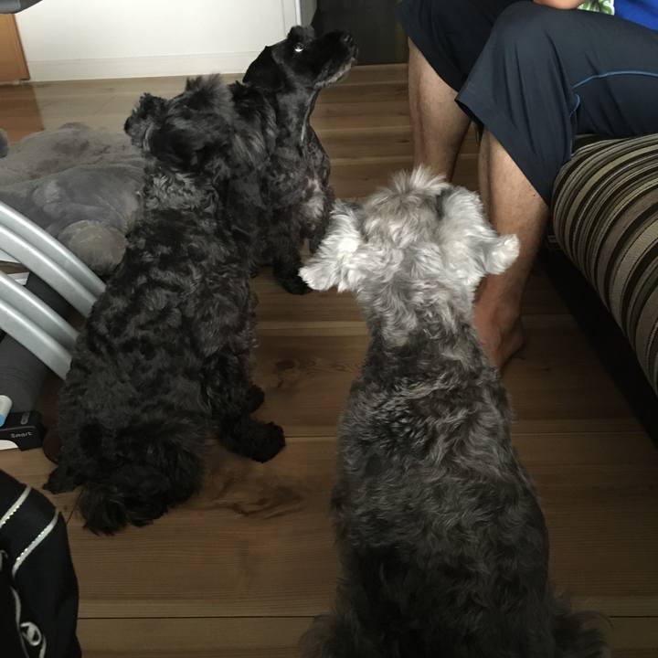 267f1ba0 e52b 45a5 833d d7e233b525c7