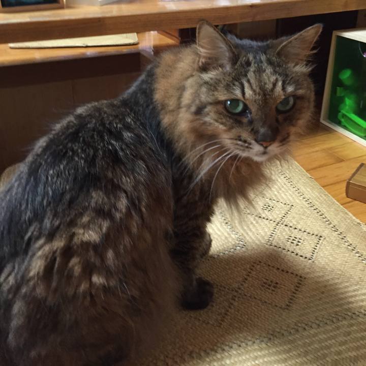 267f7e3f 35f8 43b8 b4de b9c5fc2eef6d