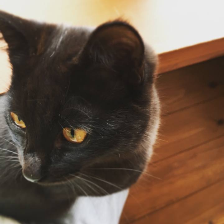 267ff1f6 6ba1 455c 855a 1d07277852ca