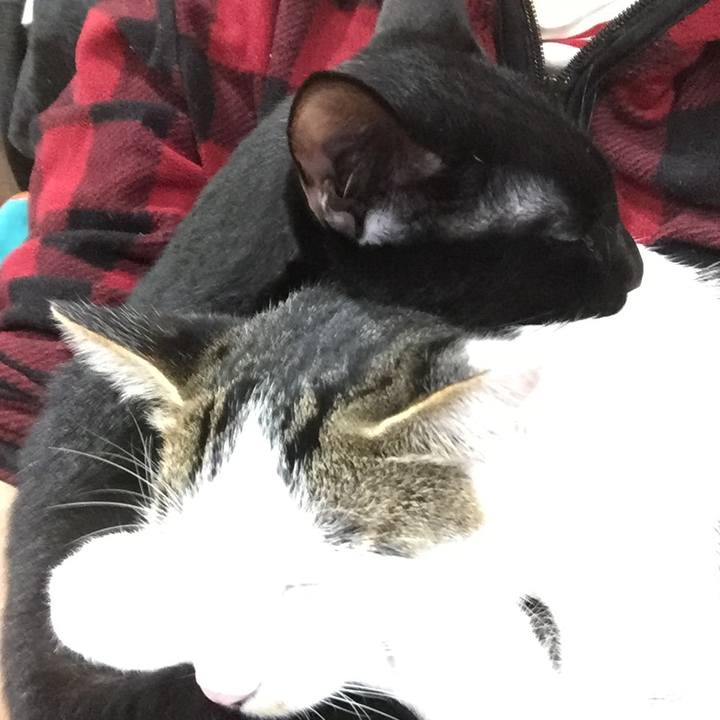 268064e9 04c8 4930 abb1 f311002863cc