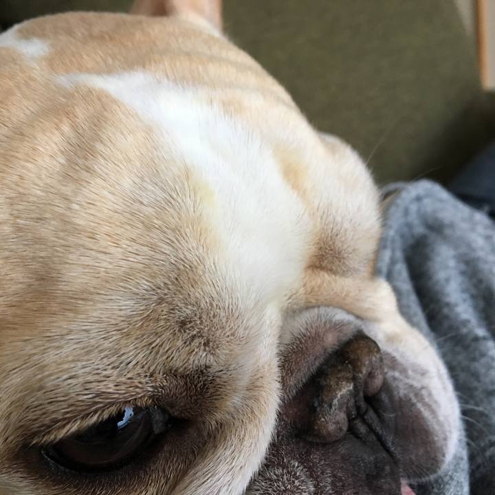 2680803c 6d81 4e7a 902f 08fb2d0ba640