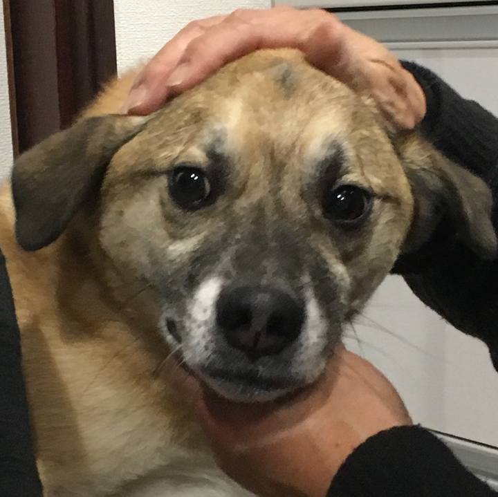 26809b2f 8688 4133 bcb2 dc3d8bf82912