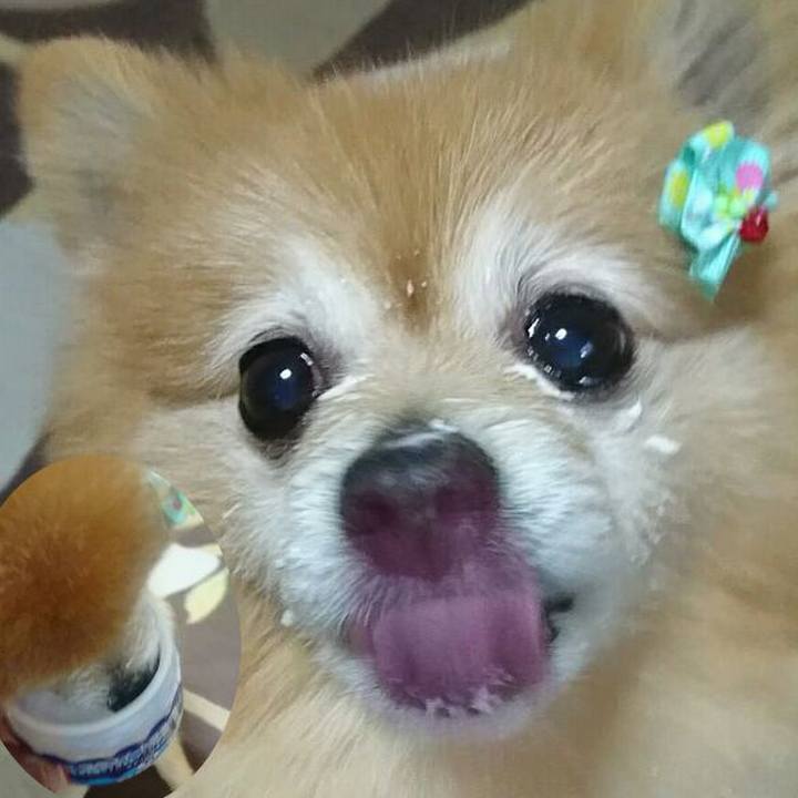 2680c900 3d4c 48c1 8197 1e7fdacd7e5c