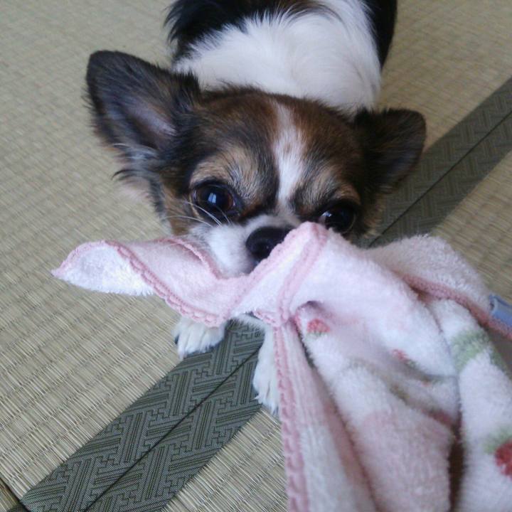 268182af ffd7 4a6b 9240 64bb28ec6f1f