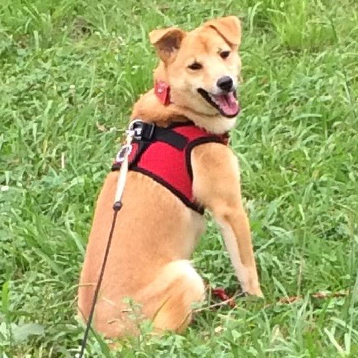 2681ce87 44f9 4c0a b2cd 9b636df11dd8