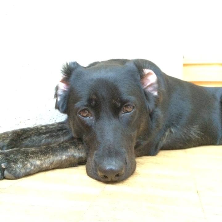 2682797a 4fa0 4a48 ad36 91517bf85cd2