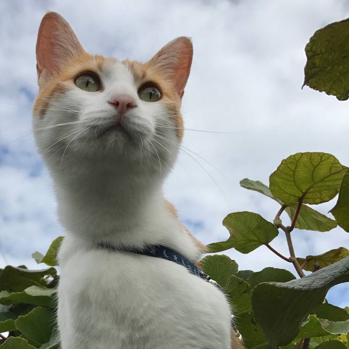 2682b48d aa4c 41a8 b3f1 0bc896764607