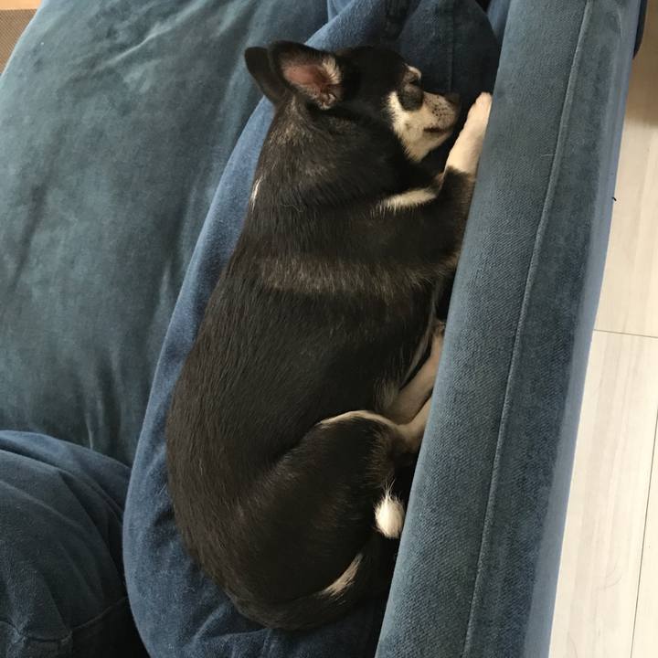 2682c764 7eac 4c49 8c58 5039df22e2e3