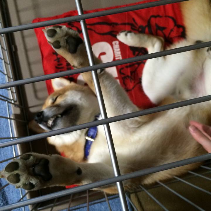 2682e2a3 359f 4f34 ad68 048feccd1014