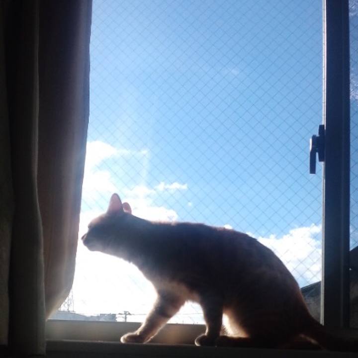 2682fb1b 35ee 4c4d a7f0 f9fec58a90b7