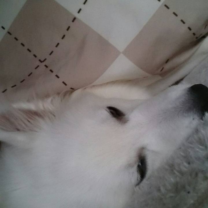 26832aa8 1617 411d 965a 70085564a8e8