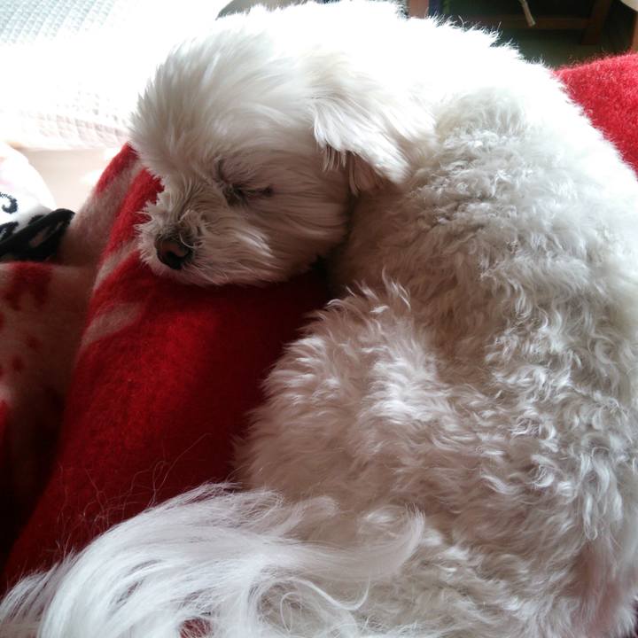 2683749b 6c30 4969 a49f 4a837451d8d9