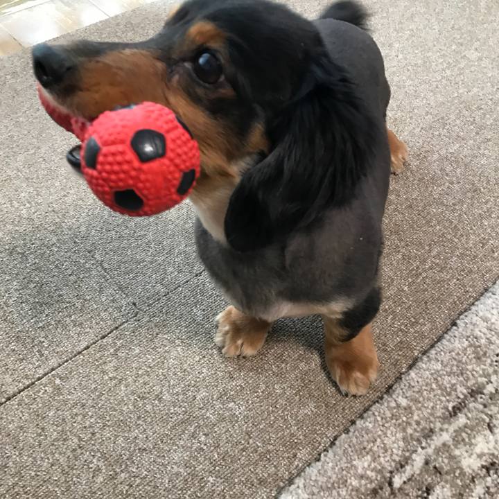 26838bf2 db2c 45ed 837b 3dc571141a3f