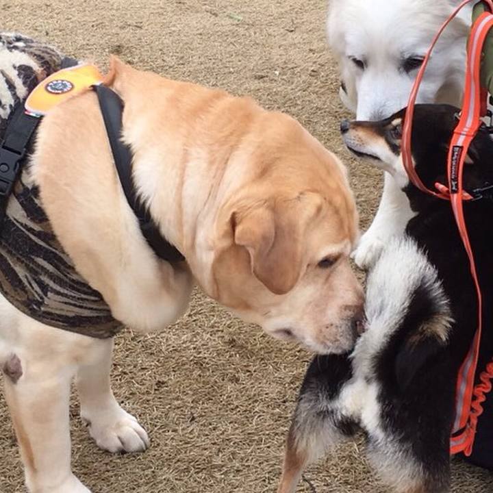 2683cb13 1c4b 4b8c ab6e a0e596b5d17b