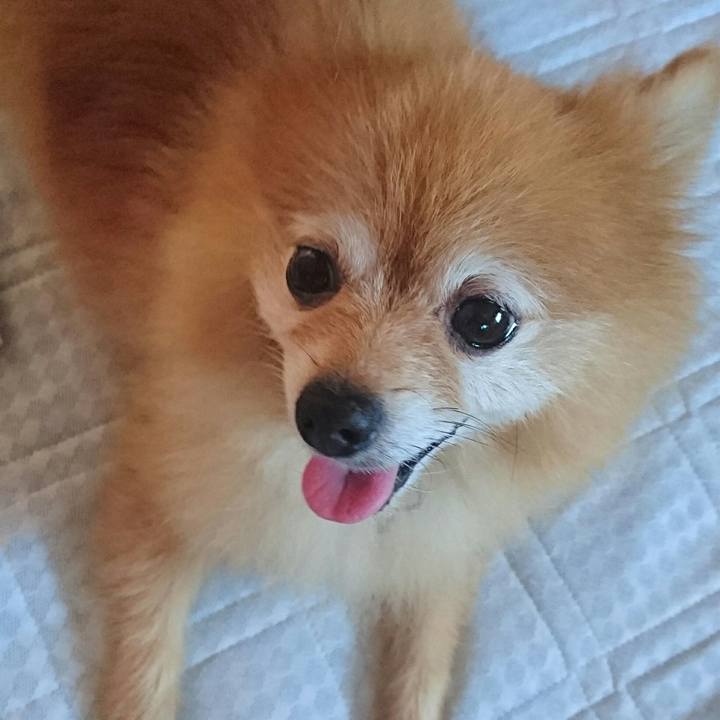 26842d1f 5551 482b 82a7 462abec9a7bb