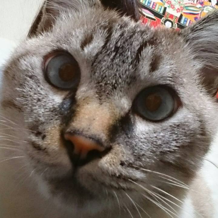 2684d05f 2eb9 40f8 a778 0283b0cdb160