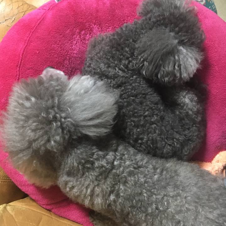 26851318 e477 4b3b 85d6 35f36f2fb14a