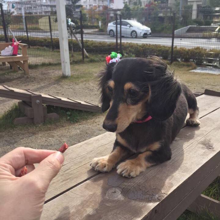 26856b55 d260 480a 94dd b4c72200b380