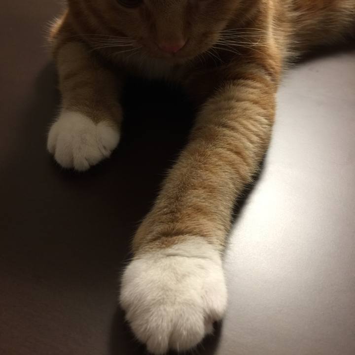 26858c01 7d29 4126 93ce d672af5581b1