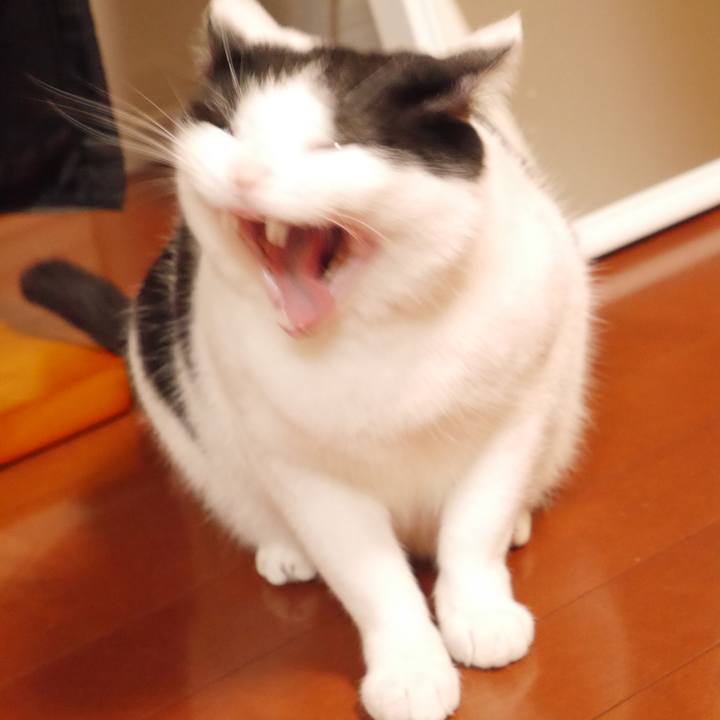 2685a39c 0241 4bee b6a4 afc5d59148b5