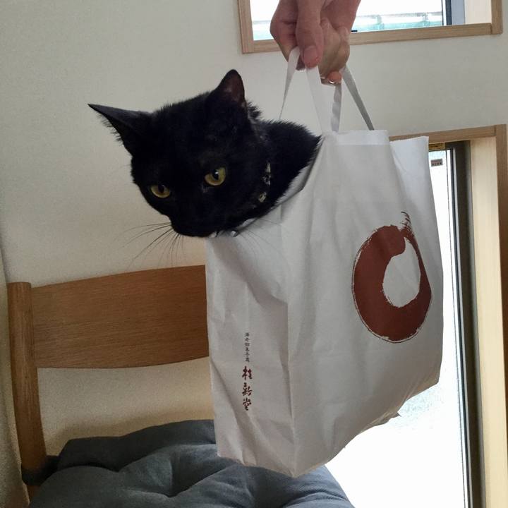 2685c2a8 08df 488e 8dbf 6064d80c7b9b