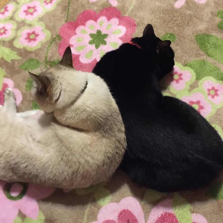 2685efb1 94b4 4de5 96ad b48bdbb1b75e