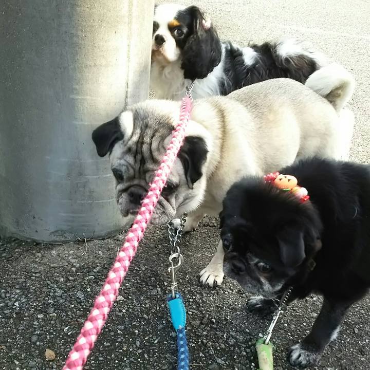 26876aa8 ca54 4beb 93b3 4a99f93b6f5a