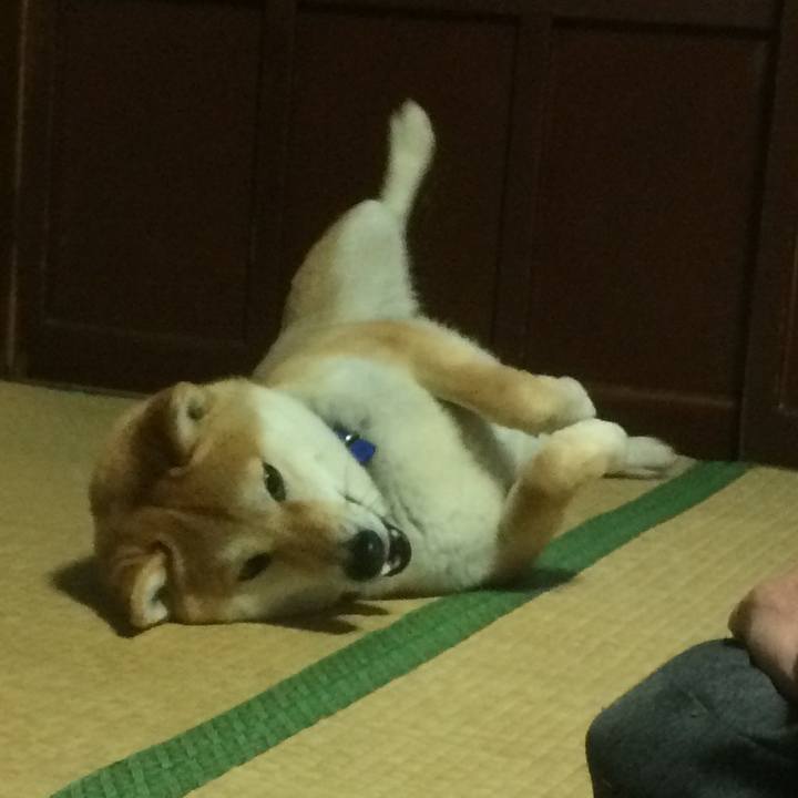 268856f7 97f3 4a42 be1c dbe724cbf9a4