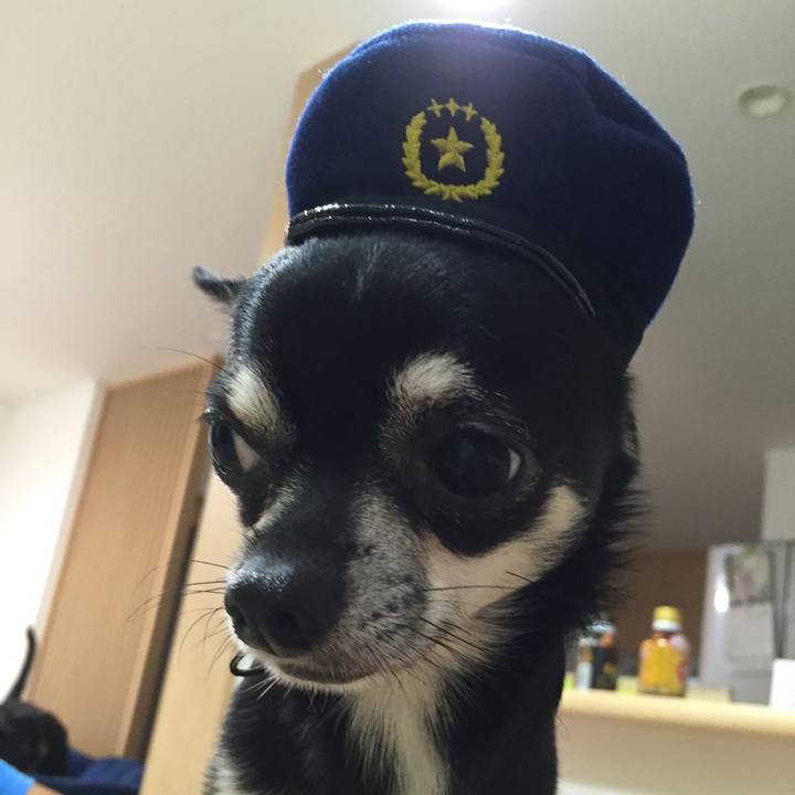 26889791 3acb 4440 ac50 29770c343797