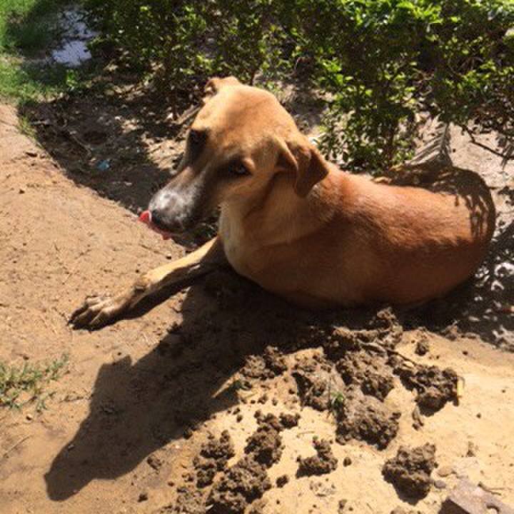 268917cf 3ca3 4691 b8db d2d3eac3f46f