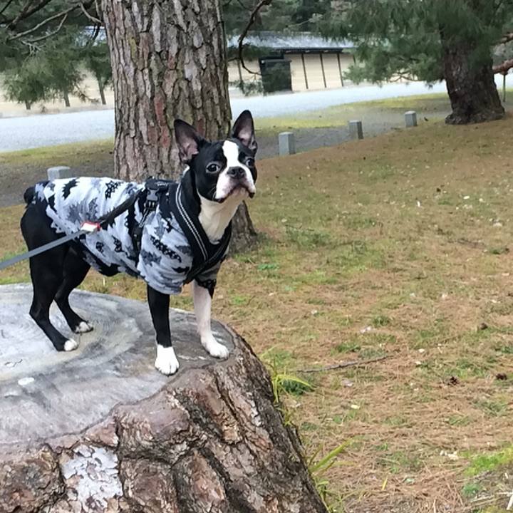 2689304f 5c9d 4dd8 8961 73f6cc089b0b