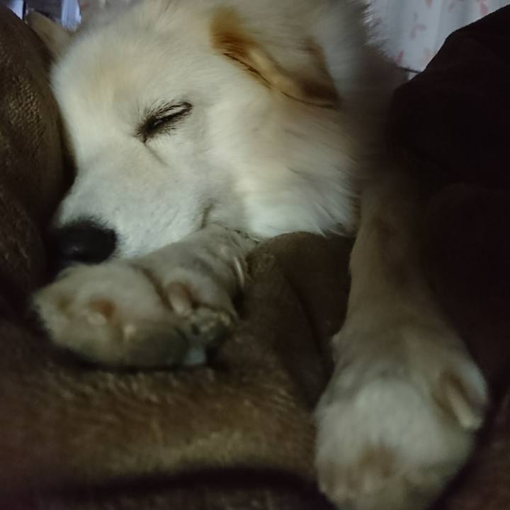 26898bfb 25f0 4efd a963 790a1294da3f