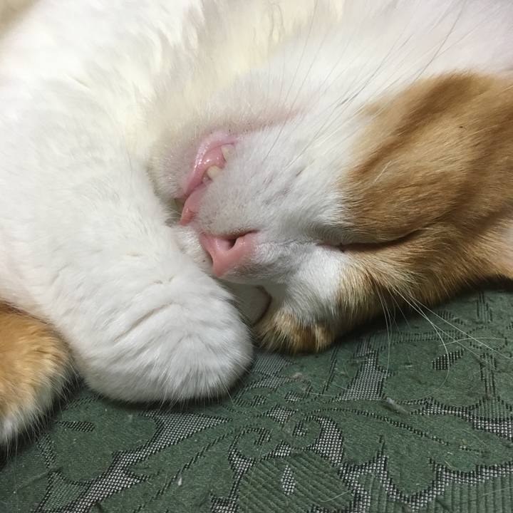 2689e494 c21b 4d66 8896 1842b83f3d4e