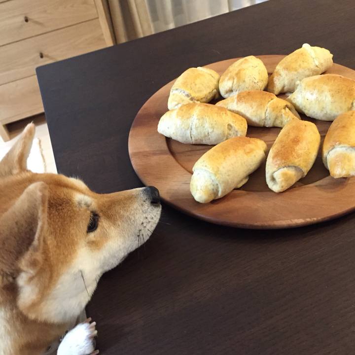 268a1ce5 6151 4289 bd55 a3066ebb2cce