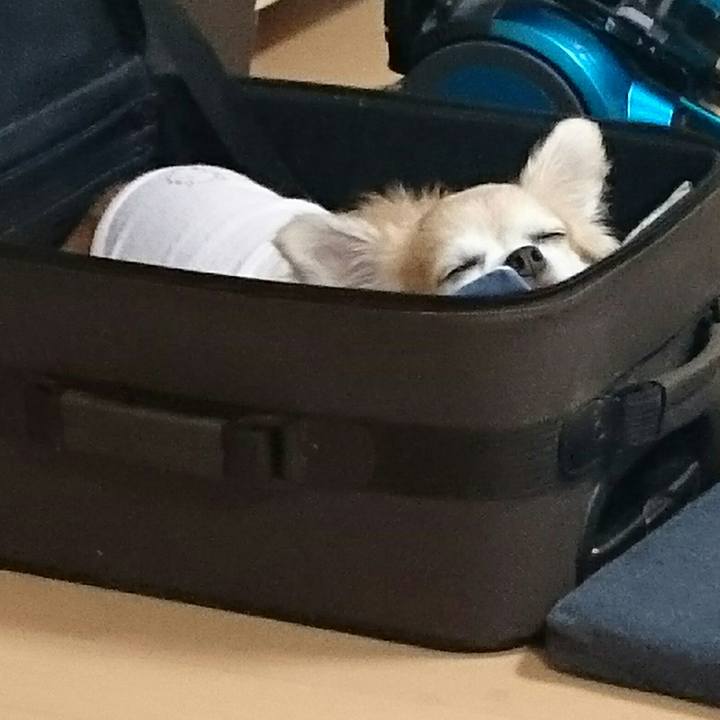 268b05e4 9886 47ce 991e c249b1bef393