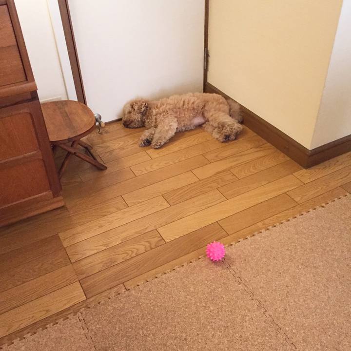 268b0882 bad3 4ff9 8081 065d5f3d921e