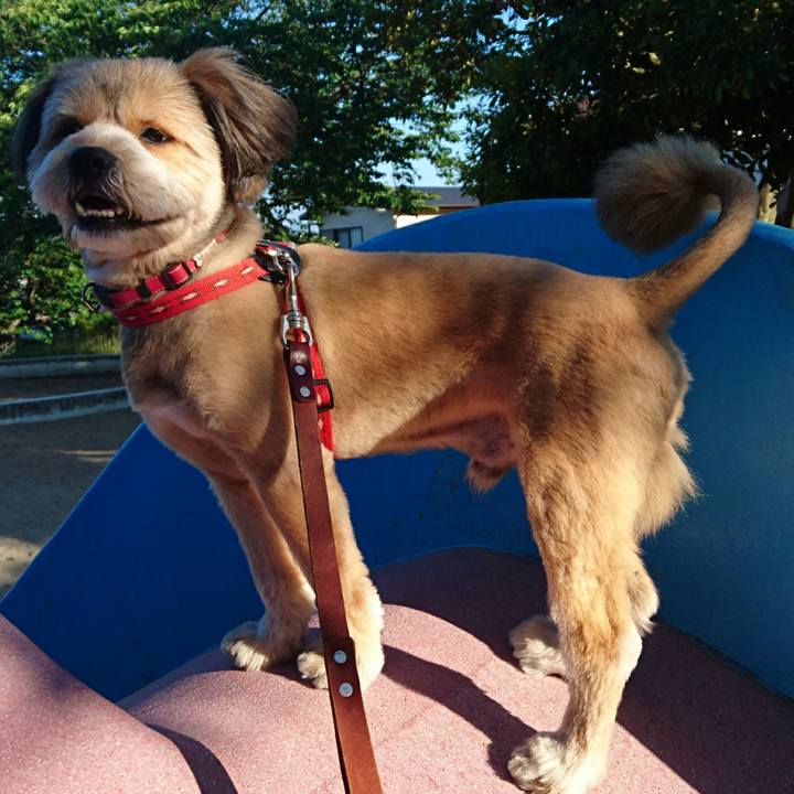 268b1d85 5aa3 49fe 869e f0112d272517