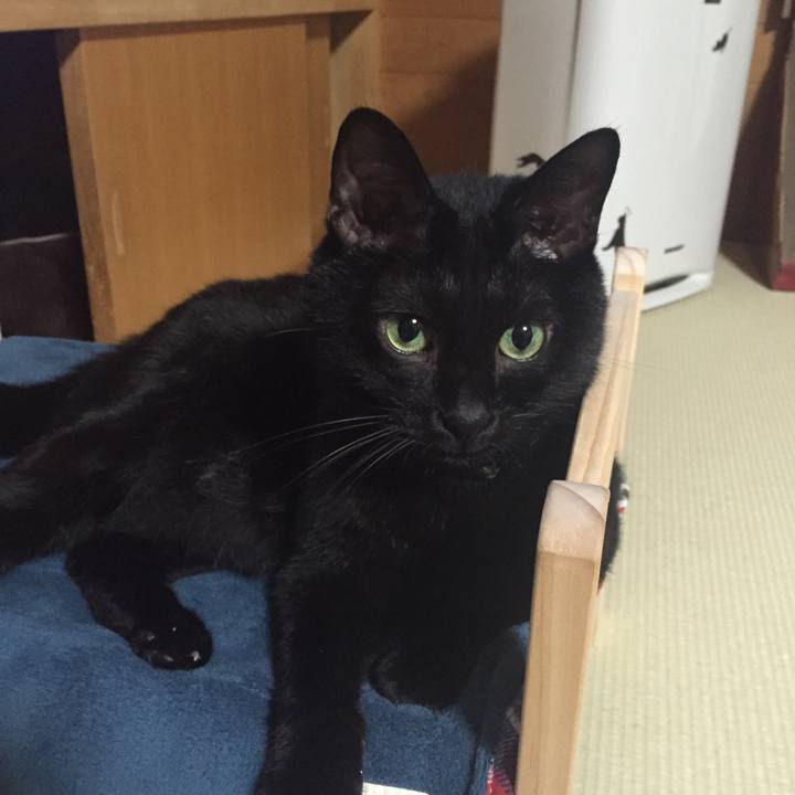 268c88b6 8933 42ea 91db 6a453c44baa5