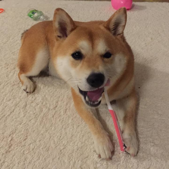 268cb17b 51d9 49ea 86df d1e27f44266e