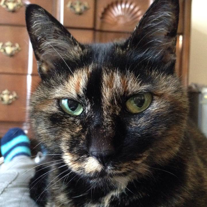 268cd5e2 f4a6 4081 ae00 3961c0de9094