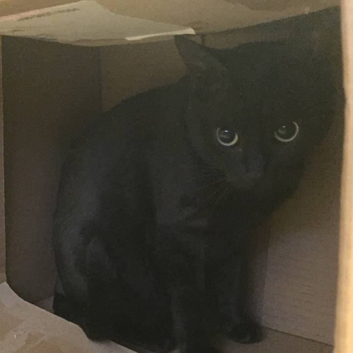 268d084a 6087 44cf 802e 765e71ee6ab7