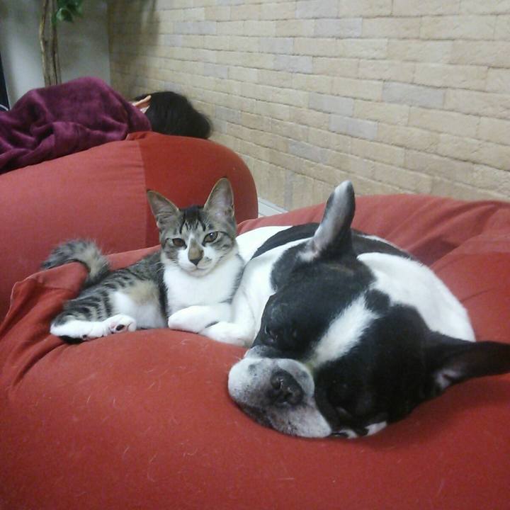 268d5a23 7da3 4b59 8f2f af21abc7c439