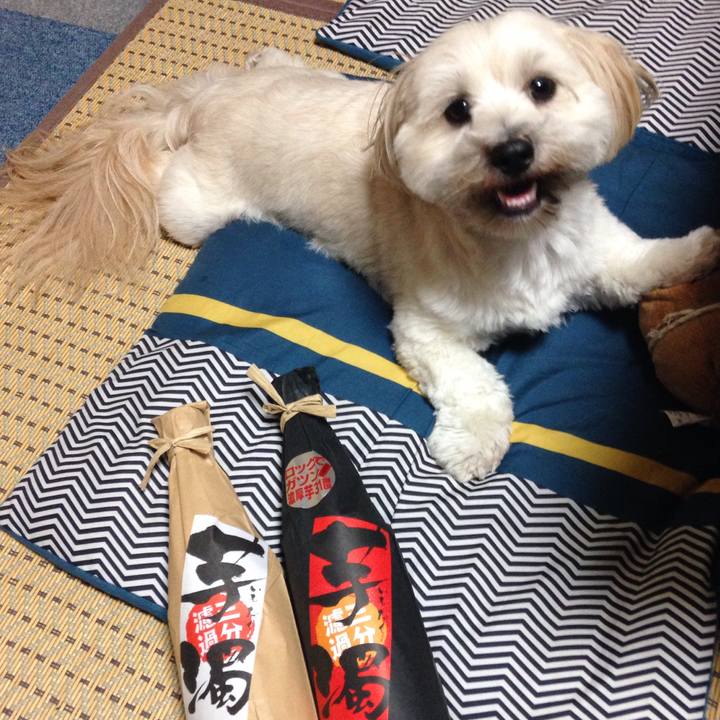 268d6f62 eb5f 463f 969c a60b4209d516