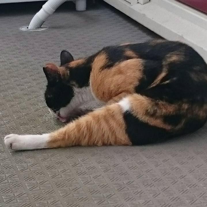 268d988e bbf4 4b3f a30a ea7be760f555