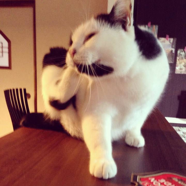 268e7b14 e136 40eb 9413 eb16e5ca7305