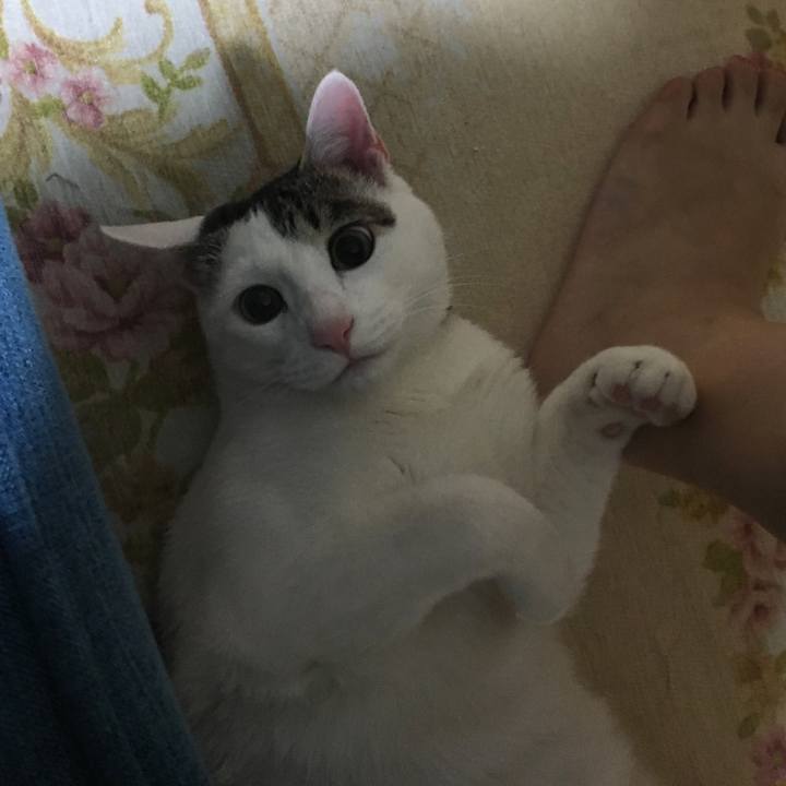 268f1225 5cbb 437f a3e7 eb6628d615a0