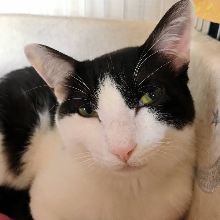 268f3cf5 4d9d 4f4c b76d 84d3ed9a6791